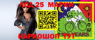 гашик Ливны