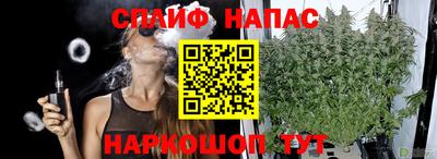 гашик Ливны