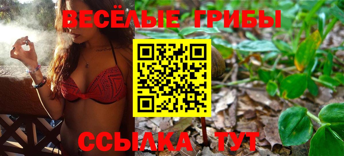 Прохладный  Псилоцибиновые грибы MAGIC MUSHROOMS  Псилоцибиновые грибы мицелий  Вход с VPN 